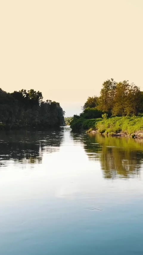River Landscape at Sunset Video stock 310951058