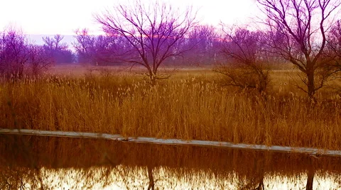 River landscape, sunset. timelapse. 库存影片 44353405