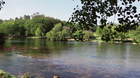 River landscape surrounded by trees and vegetation as a garden while parts o Video stock 280123193