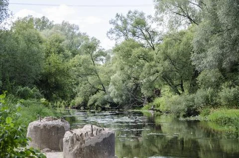 River landscape with trees and clouds reflected in the water, nature series Stock Photos