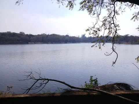 River landscape with trees Foto stock