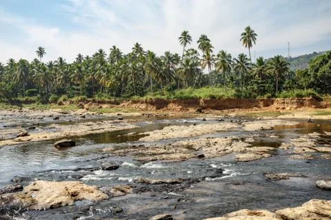 River landscape of the tropics Stock Photos