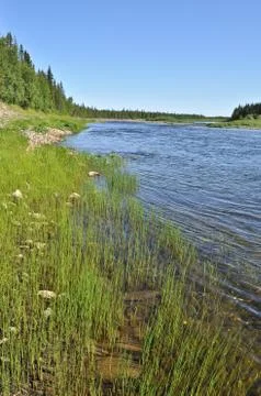 River landscape in the Urals. Stock Photos