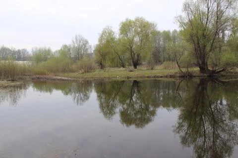 River landscape water Stock Photos
