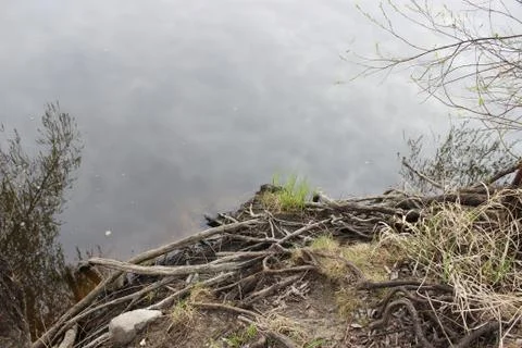 River landscape water Stock Photos