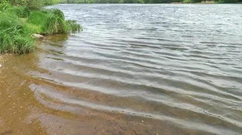 River landscape with waves coming. FullHD 50fps Stock Footage 63231147