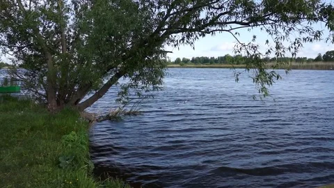 River landscape with waves Stock Footage 76316106