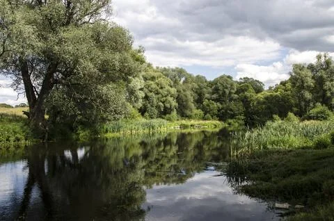 River landscape with willow trees in the foreground and cloudy sky. Stock Photos