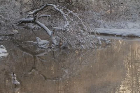 River landscape in winter and tree branches covered with white frost Stock Photos