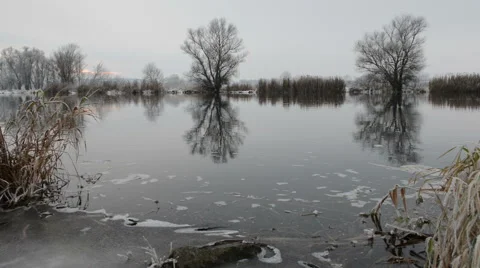River landscape at winter Stockbeeldmateriaal 40845989
