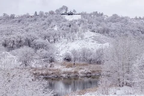 River landscape in the winter forest with trees covered with fresh snow. Snowy Stock Photos