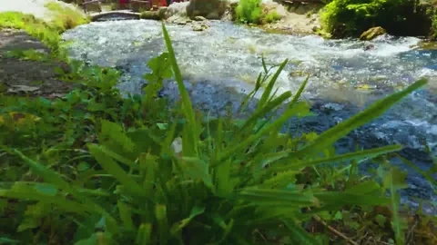 The river Lašva Stock Footage 293017060