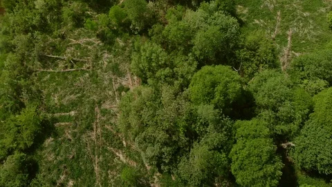 River in late spring Vidéo 89916433