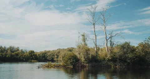 River in Late Summer Vídeos de archivo 204985944