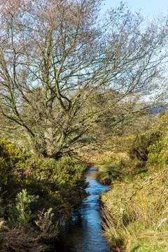River Lauder Stock Photos