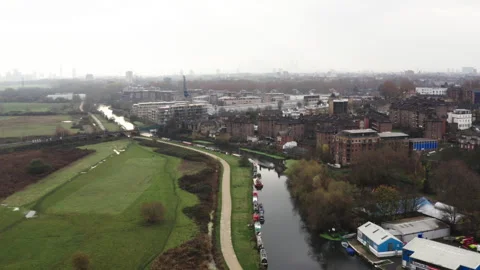 The River Lea And Belted Galloway Cow Grasing Stock Footage 243003724