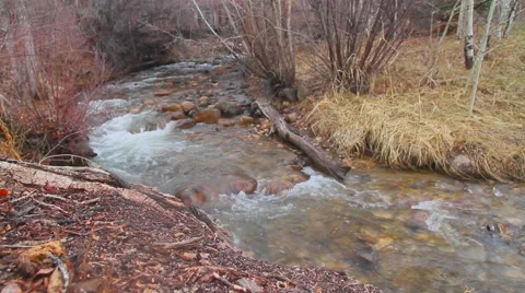 River Ledge Slide Video stock 40203868