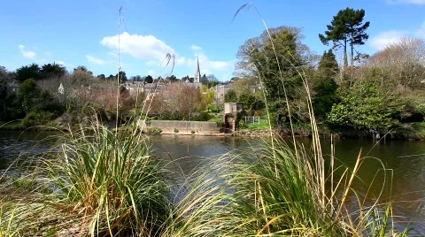 River Lee Video stock 685006