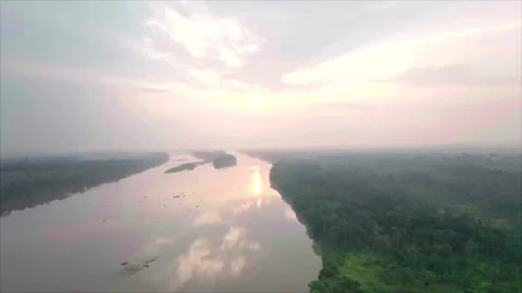 River left reflecting sun, forest right, Ouesso, Congo Stockbeeldmateriaal 332000036