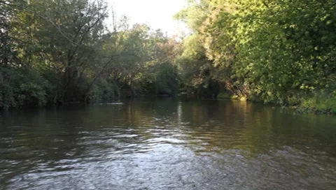River (Leitha) in Lower Austria Vídeos de archivo 8766609