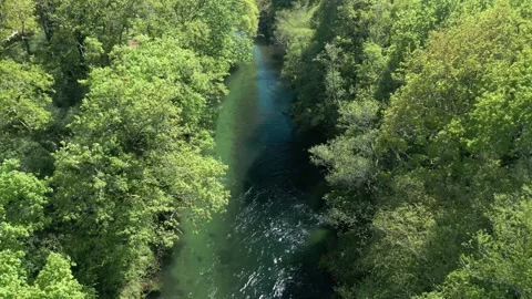 River Lerez Stream Through Wild Forest Trees 動画素材 311860197