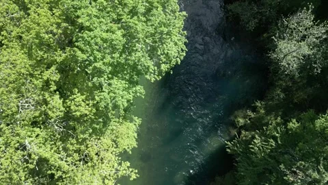 River Lerez Stream Through Wild Forest Trees Vídeos de archivo 313933012