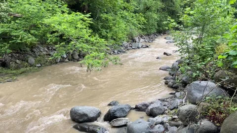 River in Lerik Stock Footage 330169637