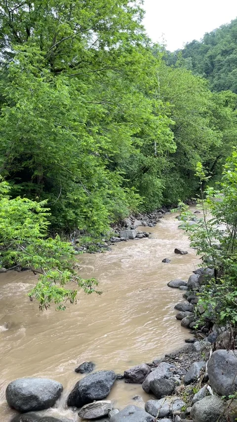 River in Lerik Stock Footage 330169652