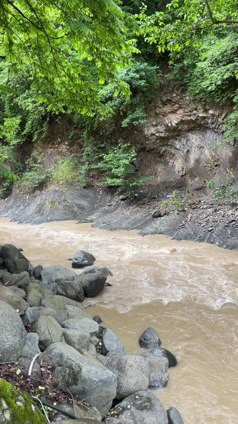 River in Lerik Stock Footage 330169658