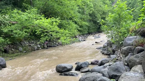 River in Lerik Stock Footage 330169659