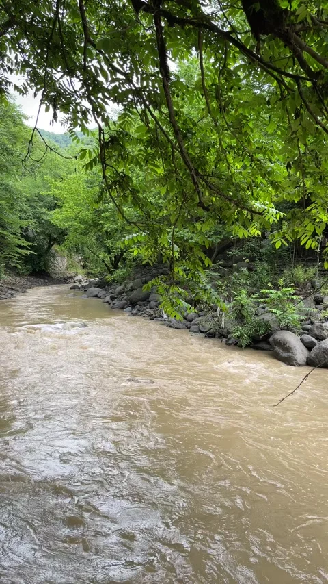 River in Lerik Stock Footage 330169718