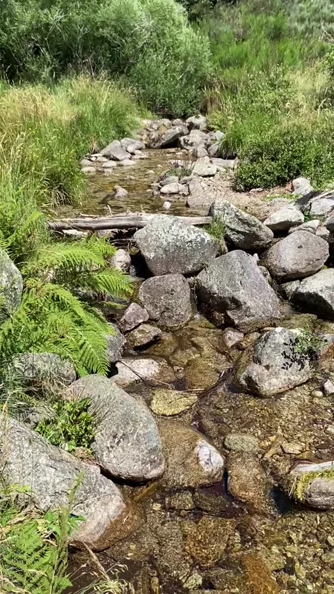 River in Les Cévennes Stock Footage 345360861