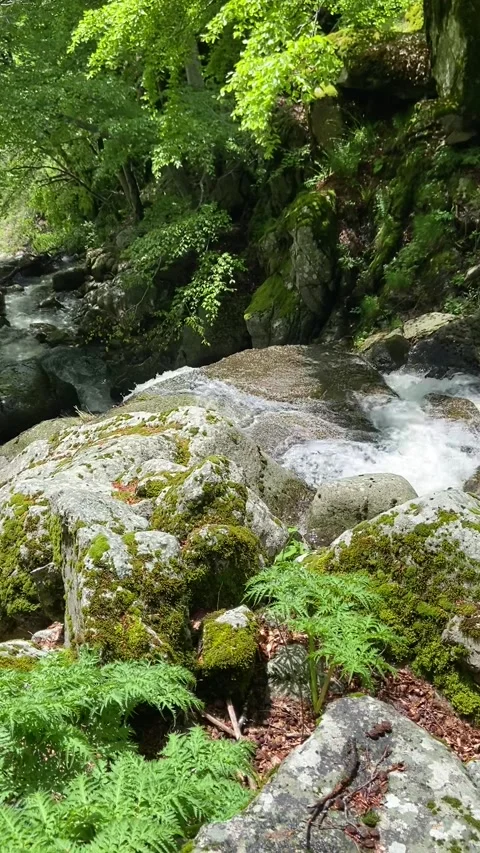 River in Les Cévennes Stock-Footage 345361020