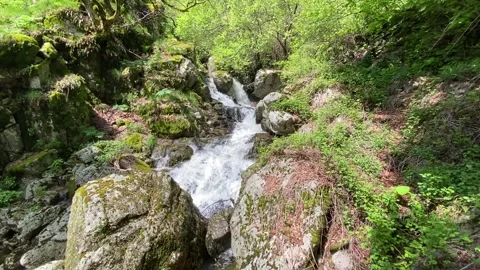 River in Les Cévennes Video stock 345361064
