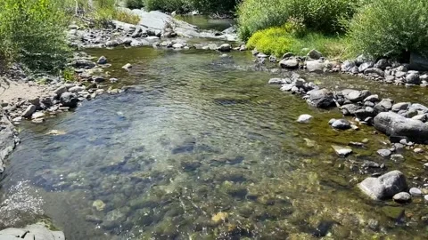 River in Les Cévennes 動画素材 346501053