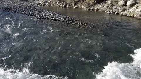 The river of life Stock Footage 130141107
