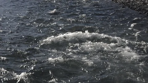 The river of life Stock Footage 130141132