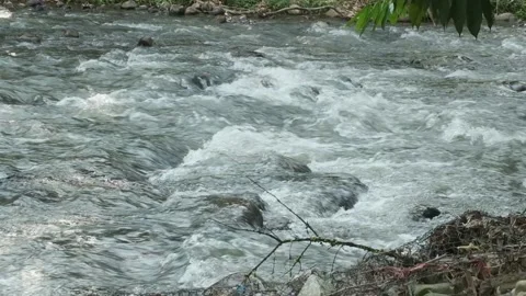 River of life Stock Footage 135087962
