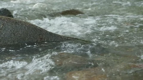 River Of Life Stock Footage 135088001