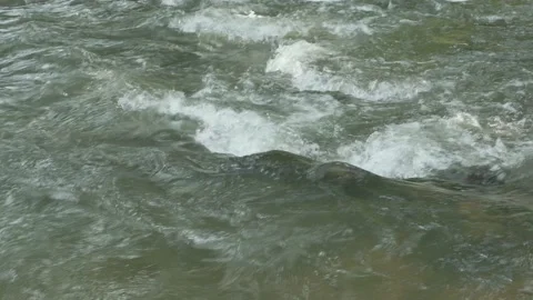 River of life Stock Footage 135088051