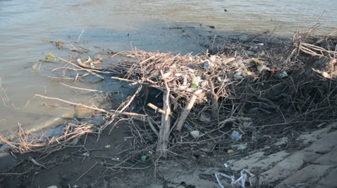 River life, garbage at the river bank Stock Footage 39829595