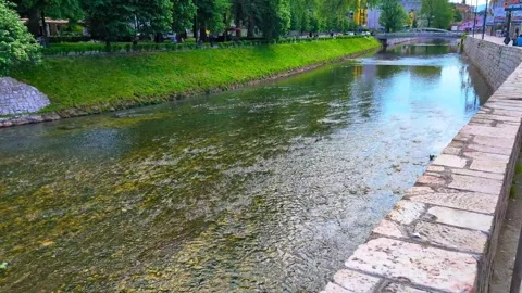 A River of Light and Life Stock Footage 297237232