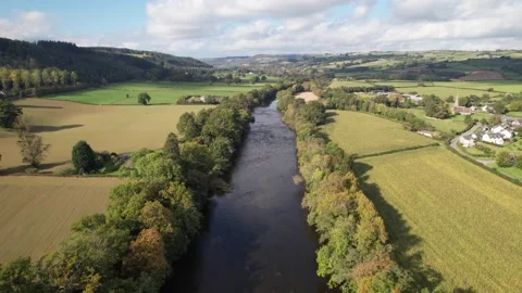 River lined by trees calmly flowing in landscape Stock-Footage 166694108