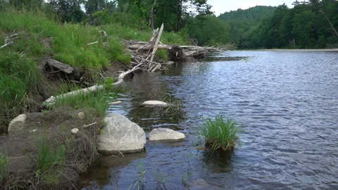 River with log and rocks Stock Footage 171343013