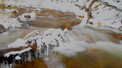 River Log Icicles Video stock 39763110