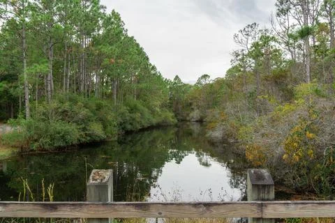 River Lookout Stock Photos