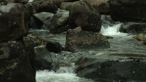 River Loop Video stock 8570518