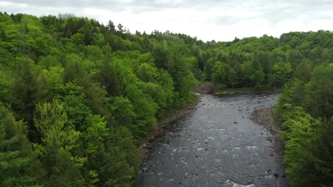 River Lost in a Forest by a Small Town Stock Footage 158181764