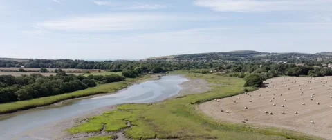 A river with a lot of grass and trees on the banks Stock Footage 298269729