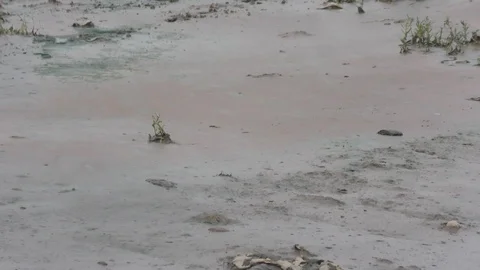 The river with lots of pollution and trash in the water and sand Stock Footage 114387611